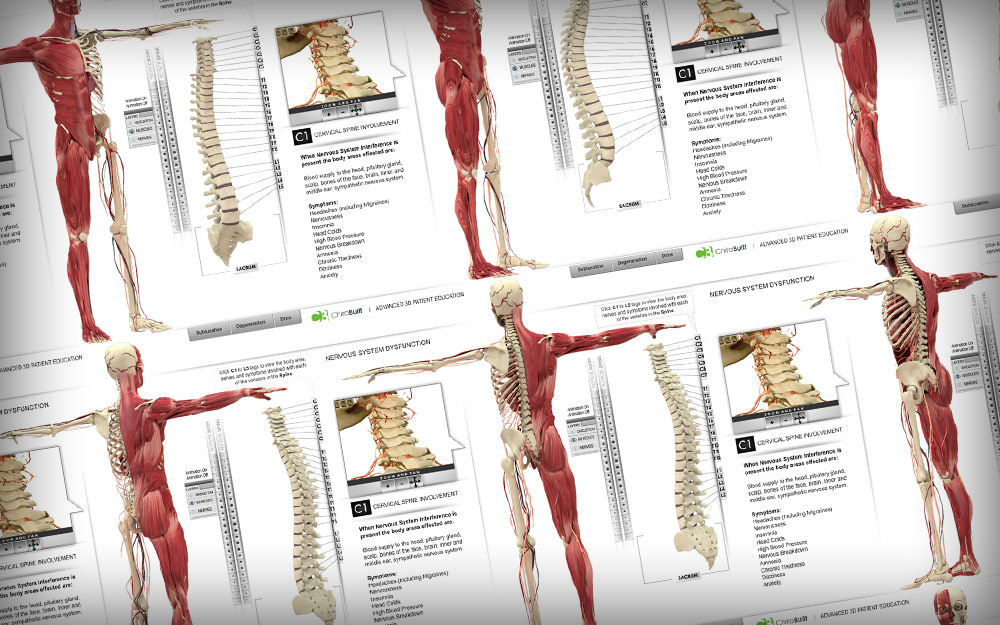 3D Patient Education